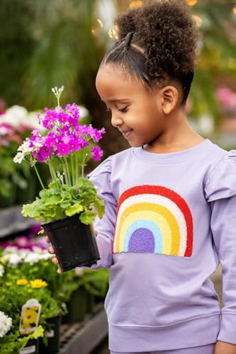 Monica + Andy Baby Girls' Double Ruffle Sweatshirt3