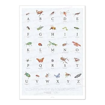 めめ RRR A3 ポスター ABCD 4点 梱包例3 めめ RRR A3 ポスター ABCD 4点 梱包例3 coccoro（コッコロ