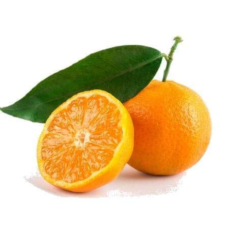 MANDARINE VERTE BIO - 10mL - Huile Essentielle de Qualité Premium - 100% Pure, Naturelle, Garantie ChromaCert - Chémotypée et Intégrale - La Compagnie des Sens – vue 3