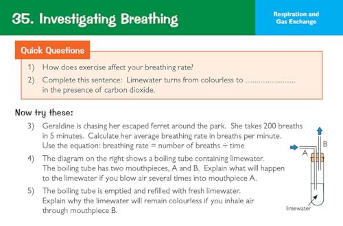 New Grade 9-1 Edexcel International GCSE Biology: Revision Question Cards (CGP IGCSE 9-1 Revision) - Image 13