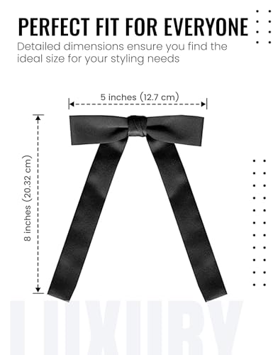 S.H. Churchill & Co. Black Satin Western Tie