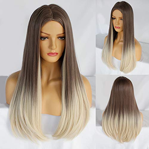Ebingoo Grey ombre Wig for Women Long straight Soft Synthetic Heat Resistant Fiber Wigs for daily wear for cosplay