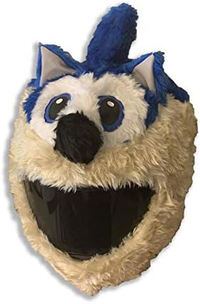 Sonic Motorcycle Helmet Cover : Amazon 