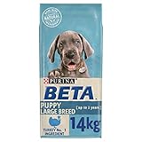 beta junior dog food