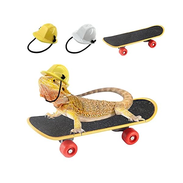 Vehomy bearded dragon accessories small engineer hat for bearded dragon lizard construction helmet hats and mini scooter for hamster lizard parrot reptile small animals 3pcs