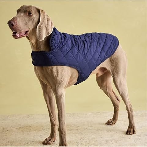 Rosewood Joules Navy Blue Dog Coat Cover
