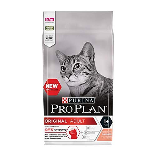 PROPLAN Yetişkin Kedi maması 10kg Somonlu