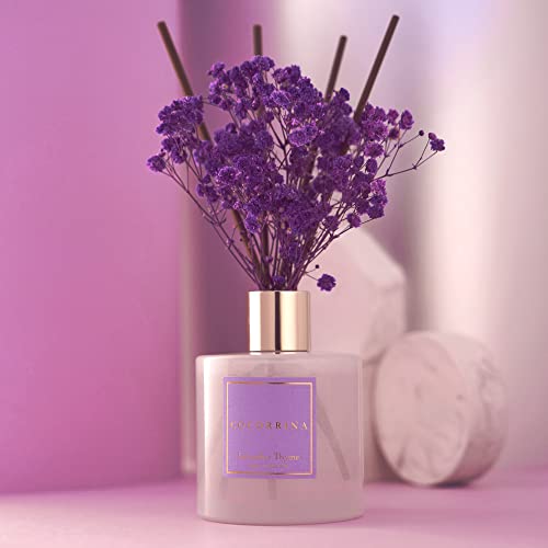Cocorrína Premium Reed Diffuser Set with Preserved Baby's Breath & Cotton Stick Lavender Thyme | 6.7oz Scent Fragrance Lavender Oil Diffuser for Bedroom Bathroom Home Décor - Image 3