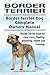 Border Terrier. Border Terrier Dog Complete Owners Manual. Border Terrier book for care, costs, feeding, grooming, health and training.