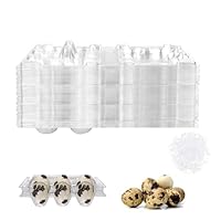 DYOUen 50 Stück Wachteleierschachteln 6 Gitter Wachtelei-Kartons Eierschalen mit Deckel mit 100pcs Gummiband