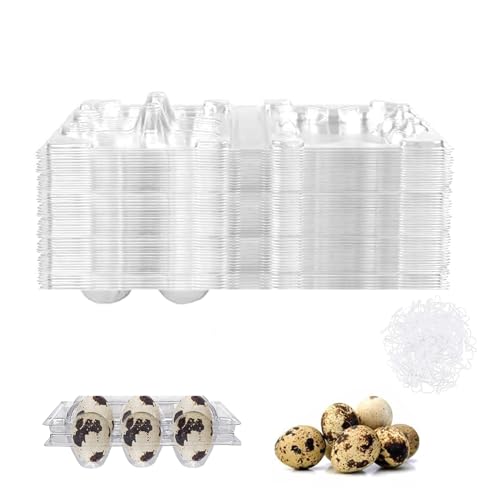 Pack of 50 quail egg boxes, 6 grids, quail egg boxes, egg trays with lid with 100 pieces elastic band