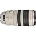 Canon EF 100-400mm f/4.5-5.6L is USM Lens | Professional L-Series Telephoto Zoom with Optical Image Stabilization & Fast Ring-Type USM Autofocus | for Wildlife & Sports (2577A002) + Filter Kit + More