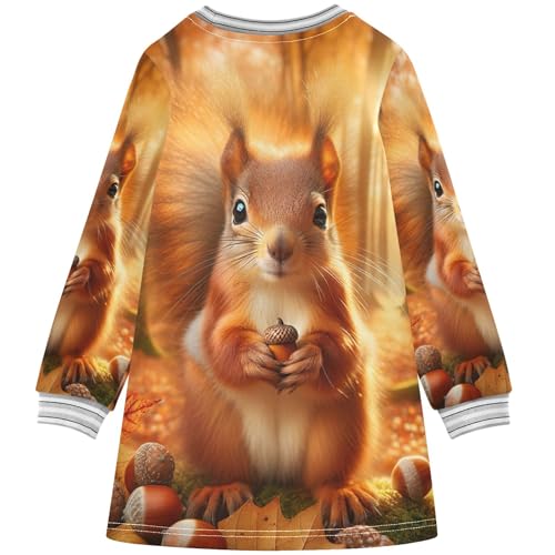 Cute Corgi Dog Fashion Girls Fall Sweater Dress 2t Girl Winter Clothes Long Sleeve Floral Dress for Girls2