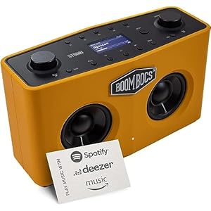 BoomBocs Internet Radio WiFi, Wireless Portable Bluetooth Speaker, Direct Streaming to Spotify, Deezer & Amazon Music – Orange