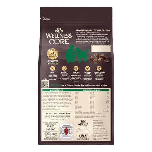 Wellness CORE Adult Dry Dog Food, Grain Free Kibble, Natural, High Protein, Lamb Recipe, 4 lb Bag - image 9