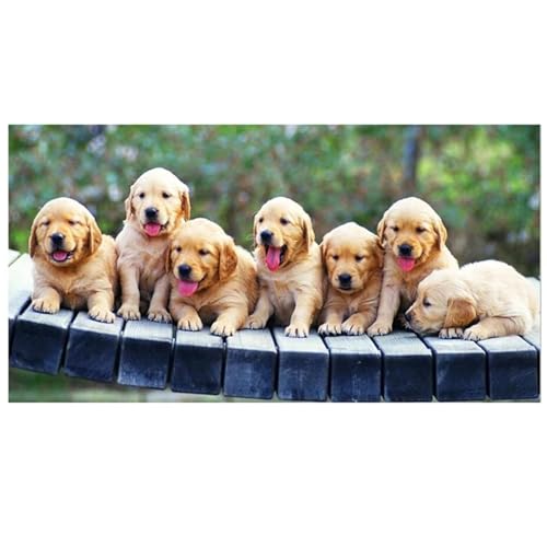 Peinture Diamant Kits Adultes Golden Retriever pour Réduire le Stress par le DIY