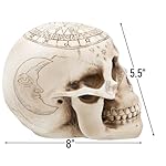 Creepy-Witchcraft-Skull-Halloween-Plastic-Decor-8×55-1-Count-Realistic-Skull-Design-Add-Spooktacular-Charm-to-Your-Haunted-House