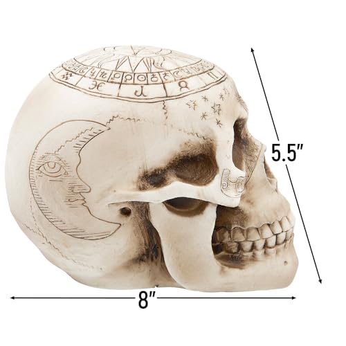 Creepy-Witchcraft-Skull-Halloween-Plastic-Decor-8x55-1-Count-Realistic-Skull-Design-Add-Spooktacular-Charm-to-Your-Haunted-House