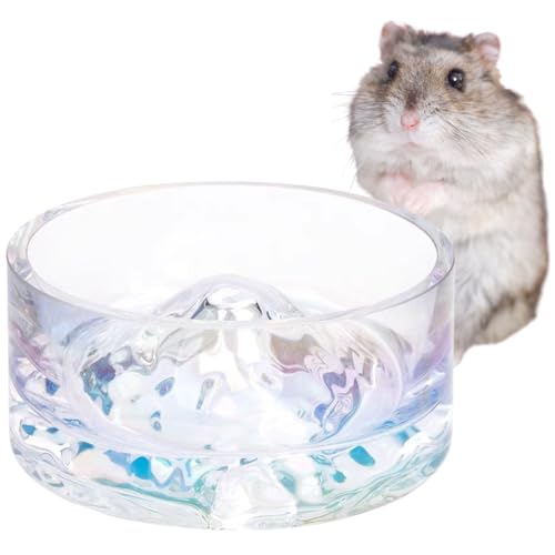 RAYTRUTH nX^[   u^  ݊ M p F xmR`[t