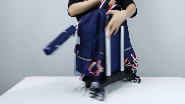 PROTAURI Sac à Dos Roulant pour Filles Garçons Enfants Bagage PROTAURI Sac à Dos Roulant pour Filles Garçons Enfants Bagage