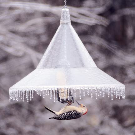 Squirrel Baffle For Protecting Hanging Bird Feeders & Bird Houses, Large 17" Durable Squirrel-Proof Guard, Weather Guard, By Arundale Products (Clear) #TOP3