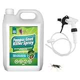 Fungus Gnat Killer Spray 2.5L – Organic Protection for Large Plant Collections – Targets Sciarid Flies, Adults & Larvae – Natural Pest Control for Houseplants, Seedlings & Greenhouses