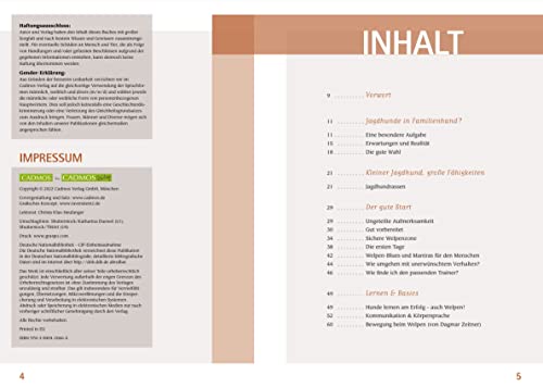 Wilde Welpen & kleine Jagdnasen: Jagdhundwelpen in Familienhand