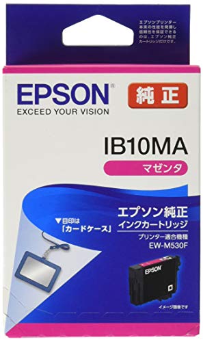 【新品未使用品】エプソン純正インクカートリッジ２箱セット IB10KA 純正インクカートリッジ EPSON IB10 カードケース EPSON