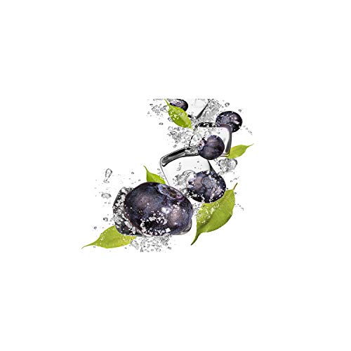 Tableau sur toile Tulup 100x50 cm - Décoration murale cuisine Myrtilles avec de la glace Noir