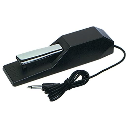 Korg Portable Keyboard (DS1H)