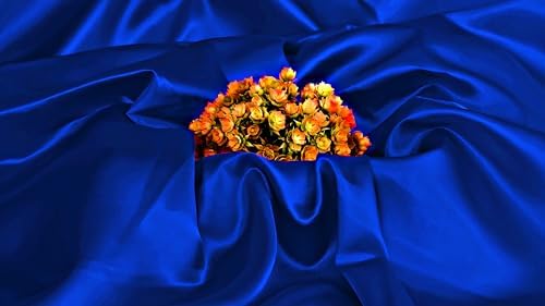 VDS Royal Blue Satin Fabric, 5 Yards Continuous, 45β Wide, Wedding Party Decoration Charmeuse Silky Sateen Bridal Dress DIY Crafts Fashion Scarf Costumes Lining Sewing Backdrop Arch Cloth - 2