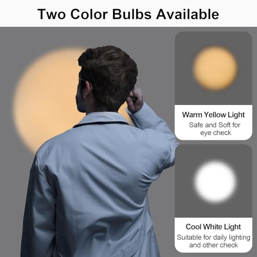 RISEMART Pen Light, Nurse Led Medical Penlight with Pupil Gauge for Nursing Students Doctors Black and Silver with Batteries