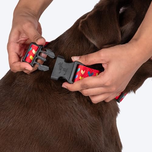 Image of HUFT Heart to Heart Dog Collar - Red - L