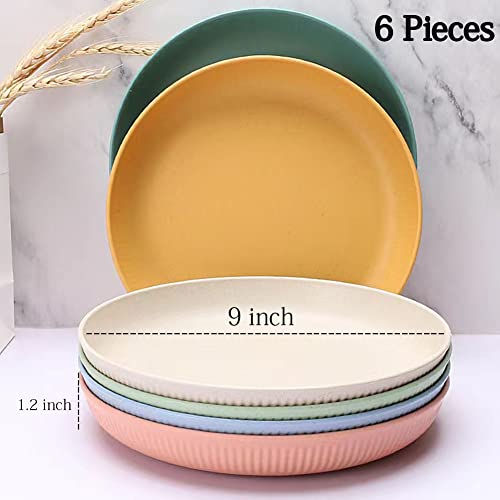 Ruibolu 9 Inch Large Cereal Plates 6 Pieces,Plastic Plates, Unbreakable And Reusable Light Weight Dinner Plates Pasta,Camping Plates, Dinner Plates, And Dumpling Bowl Microwave Safe Bpa Free #TOP2