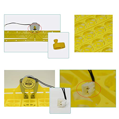 SEIWEI Egg Trays, Egg Incubation Tray, 156Pcs 12V Eggs Automatic Egg Turner Turning Tray Chicken Incubators Incubator Laboratory for Automatic Egg Incubator Tray Incubation Accessory