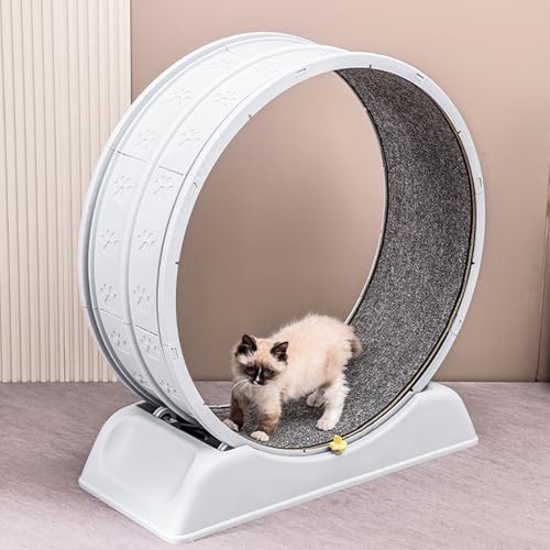 Cat Exercise Wheel for Indoor - Plastic Cat Running Wheel for Cats Fitness