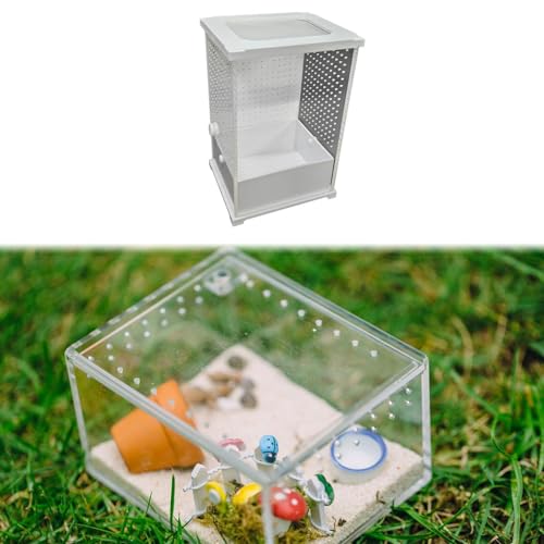 Terrarium de fenêtre pour insecte et reptile idéal pour observer - 6