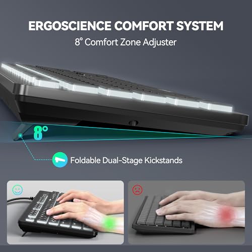 TECKNET Wired Keyboard,Silent USB Keyboard for Office,Spill-Resistant,Slim Full-Size Membrane Layout,Plug and Play for PC/Laptop/Mac-RGB Backlit by TECKNET - Image 5