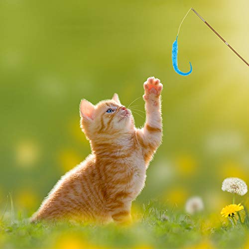 Rubywoo&chili 36 Stück Wurm Spielzeug Katze Wurm Teaser und Exerciser Katze Winkel Ersatz Magie-Wiggly Worm Magischer Wurm Interaktives Katzenspielzeug – Bild 7