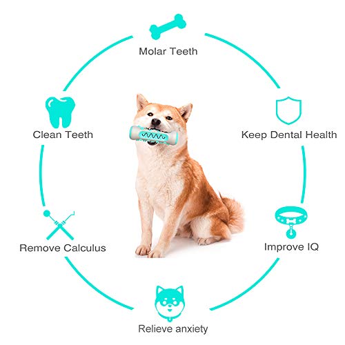 Extaum Brinquedos para mastigar cachorros,Os dentes do cão de estimação limpam o brinquedo brinquedo
