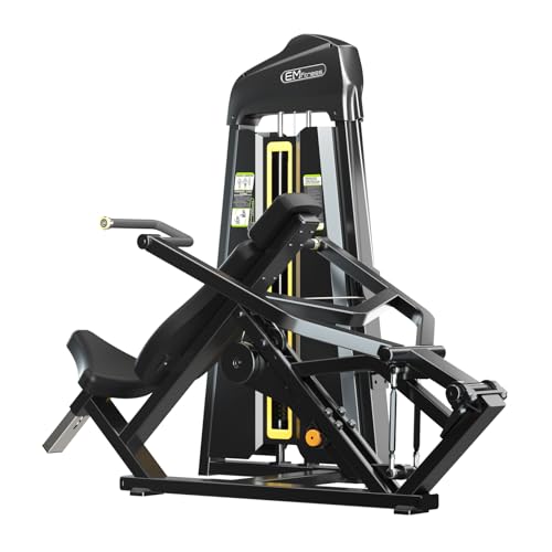 Image of LAT pulldown /Low Row Machine