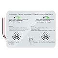 RV Carbon Monoxide & Propane Gas Alarm, Briidea Dual LP/CO Alarm with Separate LED Indicator Light, 100dB Loud Alarm, Provide You with Early Warning to Ensure Safety, 12 VDC, White