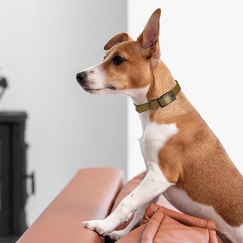 Image of Dogline Biothane Waterproof Dog Collar Strong Coated Nylon Webbing with Black Hardware Odor- Proof for Easy Care Easy to Clean High Performance Fits Small Medium or Large Dogs, Coyote Brown