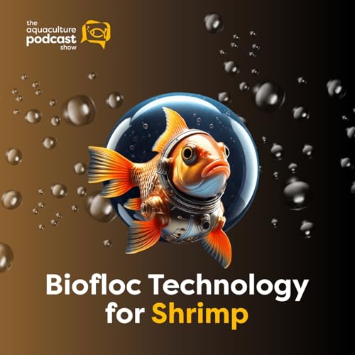 Biofloc Technology for Shrimp | Ep. 27 cover art
