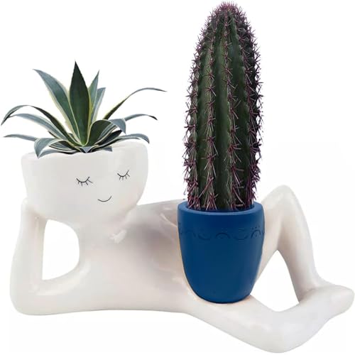 Bivpreom Funny Plant Pots with Drainage HoleResin Unique Planters Lying Down FigureFace Planter Pot for Succulents Cactus