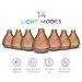 Aromatherapy Diffuser & Essential Oil Set - Ultrasonic Diffuser Extreme Cool Mist Output - Top 16 Oils 350ml-Auto Shut-Off 7 Color LED – 100% Pure Therapeutic Grade Aroma Essential Oils-Lavender