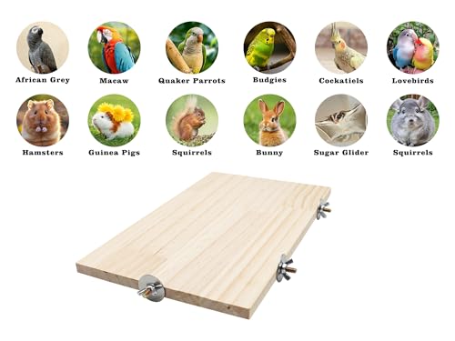 Image of Large Bird Perch, Wooden Platform, Bird Playground, Parakeet Shelf Stand Platform, Bird Perches for Cage, Cage Accessories for Parrots, Rats, Chinchillas, Hamsters, Squirrels, Sugar Gliders