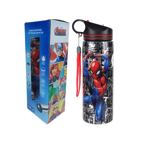 Image of Marvel Avengers Stainless Steel Sipper Water Bottle (700ml) - Cartoon Character Print, Leakproof & Durable, Single Wall Bottle for Boys, Girls, Kids & Adults | Gym, Office, School, College Use