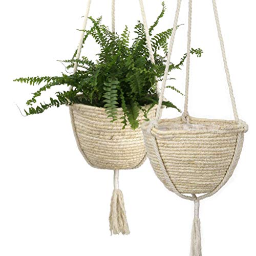 Suspension pour plantes en jonc de mer pour créer un jardin suspendu intérieur
