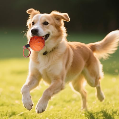 Exercice de stimulation pour l'intérieur et l'extérieur du chien